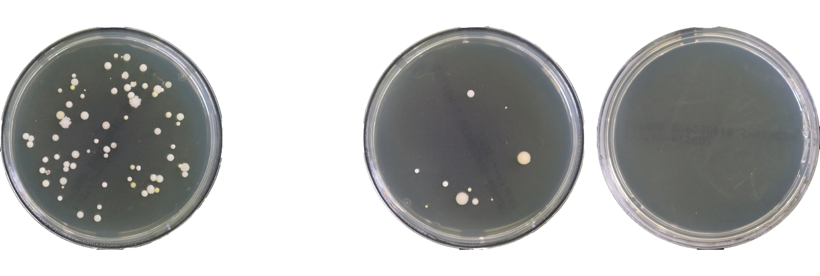 某ホテル客室内IAQ測定事例