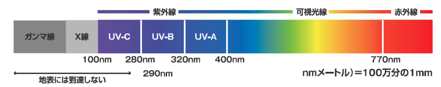 紫外線について